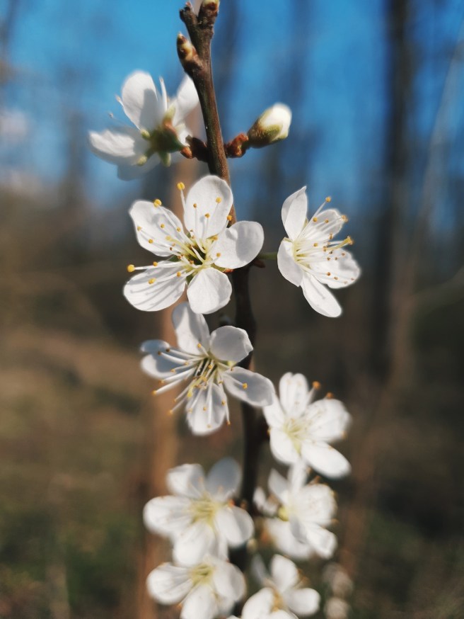 Processed with VSCO with hb2 preset