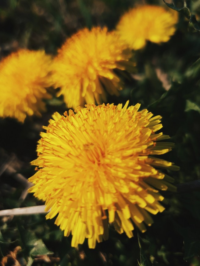 Processed with VSCO with hb2 preset